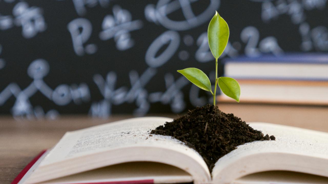 Küçük alışkanlıklarla büyük sonuçlar almak mümkün mü?